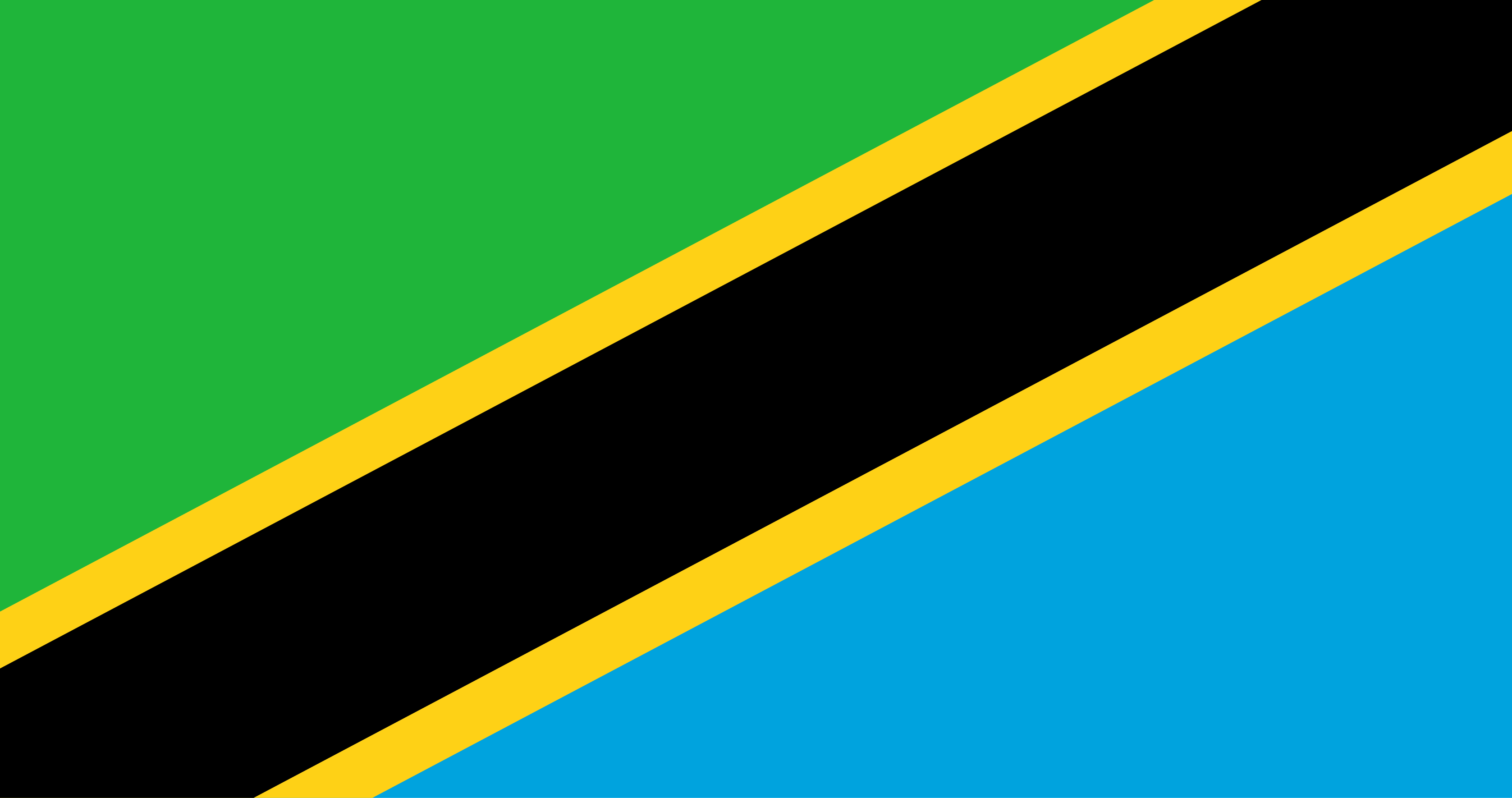 Tanzania flag